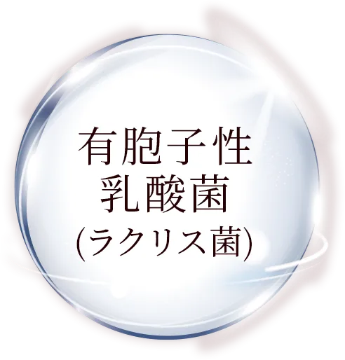 有胞子性乳酸菌 (ラクリス菌)