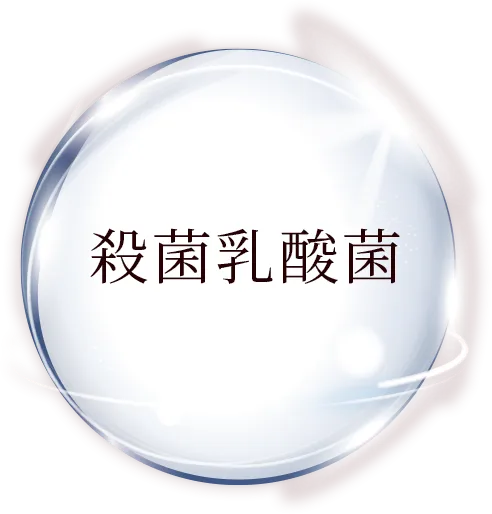 殺菌乳酸菌